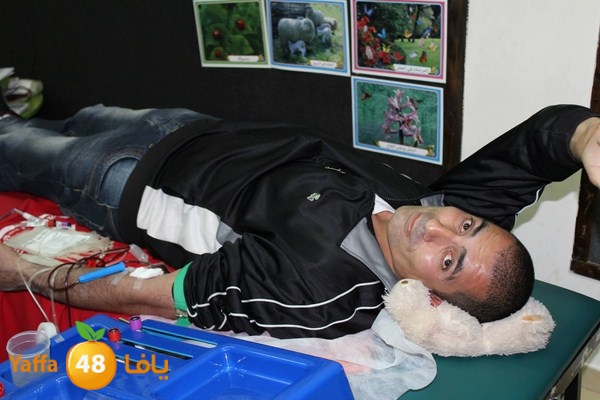 dam kenan0331 (6).jpg